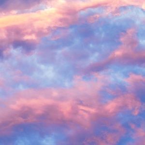 Meet your Posher, Hailey